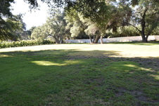 Enlarge photo 902