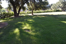 Enlarge photo 904