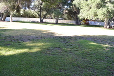 Enlarge photo 905