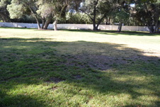 Enlarge photo 906