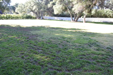 Enlarge photo 907