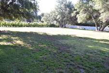 Enlarge photo 908