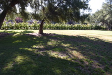 Enlarge photo 910