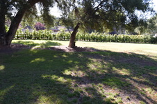 Enlarge photo 911