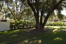 Enlarge photo 912