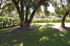 Enlarge photo 913