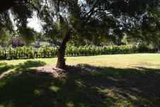 Enlarge photo 914