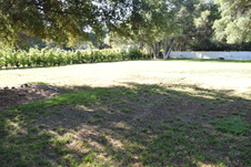 Enlarge photo 915