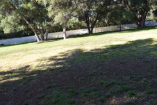 Enlarge photo 917