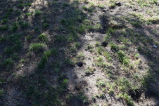 Enlarge photo 925