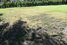 Enlarge photo 926