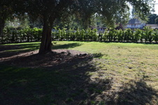 Enlarge photo 927