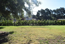 Enlarge photo 928