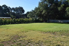 Enlarge photo 929