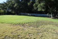 Enlarge photo 930