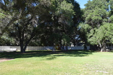Enlarge photo 938
