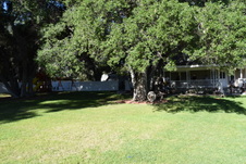 Enlarge photo 940