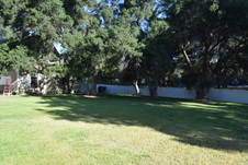Enlarge photo 943