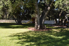 Enlarge photo 945