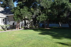 Enlarge photo 949
