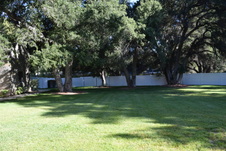 Enlarge photo 950