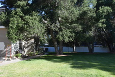 Enlarge photo 957