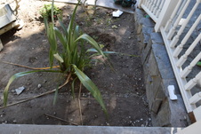 Enlarge photo 972