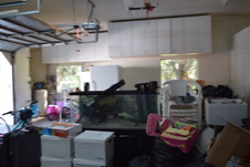 Enlarge photo 1117