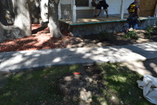 Enlarge photo 1373