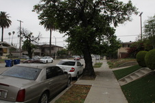 Enlarge photo 18