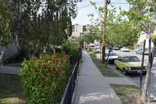 Enlarge photo 11