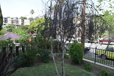 Enlarge photo 13