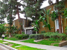 Enlarge photo 57
