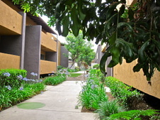 Enlarge photo 53