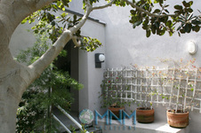 Enlarge photo 35