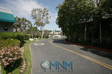 Enlarge photo 30