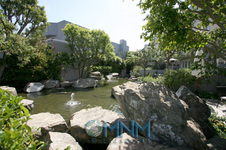 Enlarge photo 43