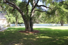 Enlarge photo 82