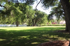 Enlarge photo 83