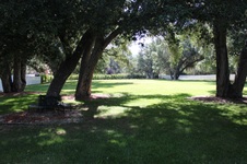 Enlarge photo 72