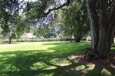 Enlarge photo 62