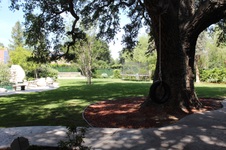 Enlarge photo 47