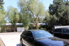 Enlarge photo 42