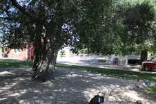 Enlarge photo 11