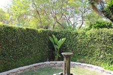 Enlarge photo 37