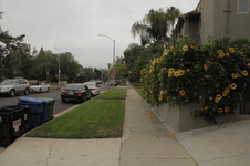 Enlarge photo 18
