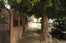 Enlarge photo 12