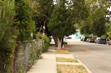 Enlarge photo 22