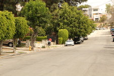 Enlarge photo 27