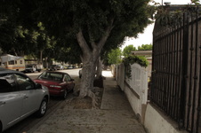 Enlarge photo 4